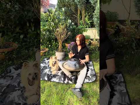 Funky Groove Session mit Mexx