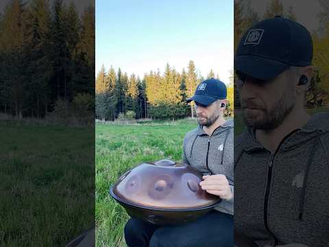 Handpan F#2 Shambhala #handpan #nature #chillvibes