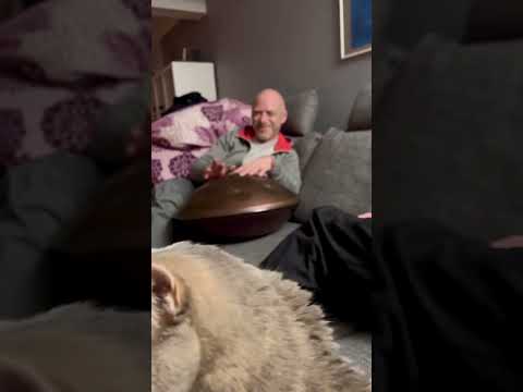 A little Jam with “Aila the Cat” 😅🔥   #handpan #cat #catvideos #handpanmusic #handpanplayer