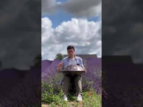 Handpan F# Pygmy 18 - Lavender filed - Boutigny - France