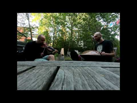 Violin and handpan Meridian F Low Pygmy 19