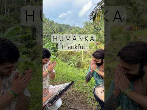 The Sound of Serenity — Handpan & Qanun in Bali's Rice Terraces #relaxation #bali