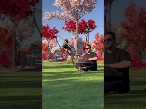 #handpan #art #circus #funnyvideo #hang #ханг