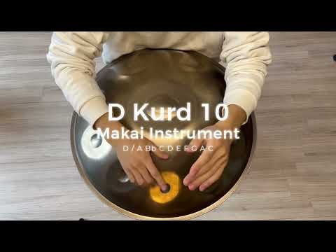 【レンタルハンドパン】Makai Instrument /  D Kurd 10 試奏2