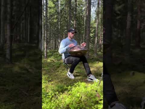 Handpan in the wind😄🛸           #handpan #nature