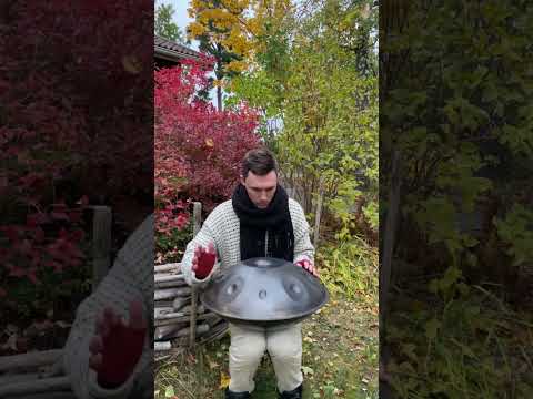 Fallen Leaves | Adrian Högström | Handpan by Anita instruments (E romanian hijaz)