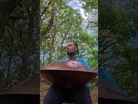 Handpan music in the woods with a reverb is amazing #handpan #handpanman #woods #handpanmusic #fyp