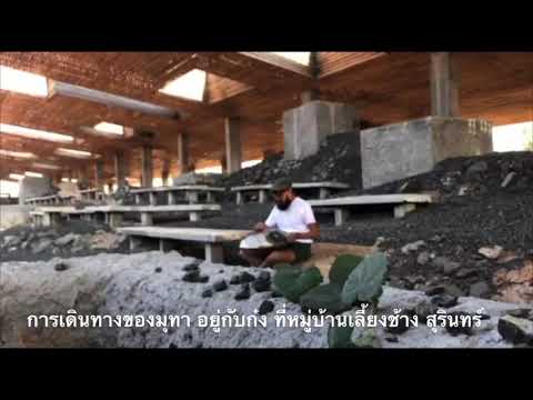 การเดินทางของมุทา(Handpan)#อยู่กับก๋ง ในหมู่บ้านเลียงช้าง จ.สุรินทร์ วันครบรอบ๒ปี ฮิปปี้เฮาส์