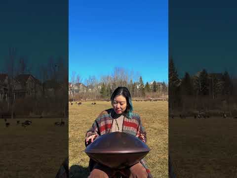 🇨🇦 Handpan | Spring Canada - F# Pygmy 21