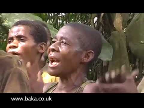 Chants de femmes en Afrique 🔴 djoliba music store
