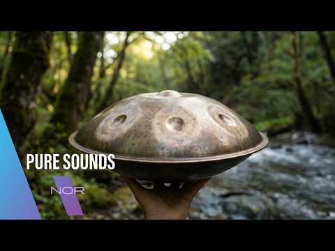 Handpan • The Language of Nature🎵🍃 🌿 🌱