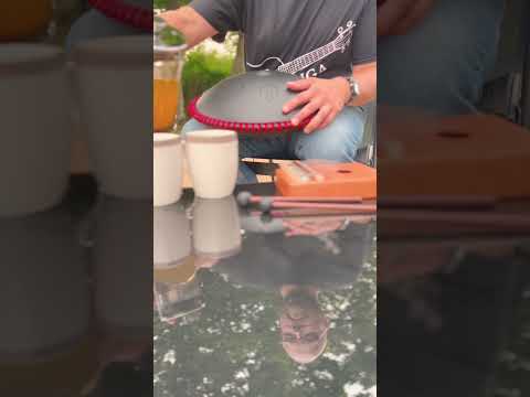 9 nošu D Kurd HandPan Zvanga