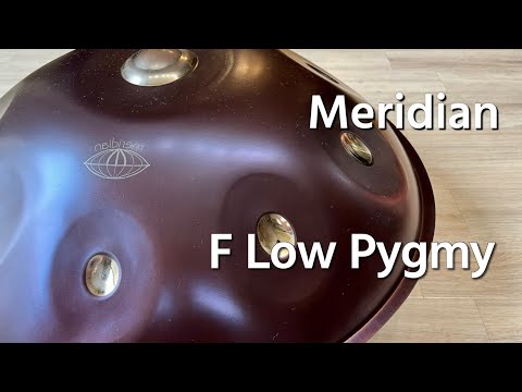 【ハンドパン販売】Meridian / F Low Pygmy 試奏 4