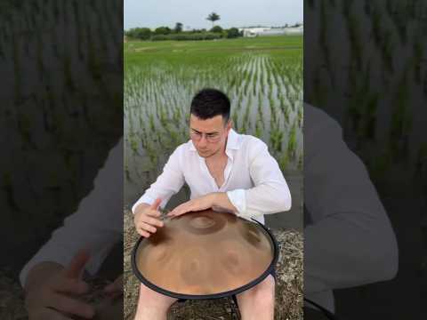 Handpan D Kurd 9 - Chiayi - Taiwan