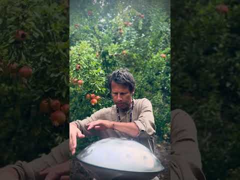 Power of transformation | Alwin Steinle | Handpan La Sirena #handpan #handpanmusic #music #flow