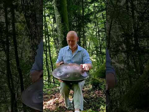 Calm Handpan Groove in the Forest
