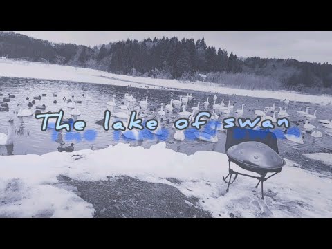『The lake of swan』【音景色】【handpan onoleo】【hiroyukeeeeee】