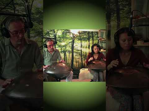 Musical journey / Handpan music #handpanmusic #shorts