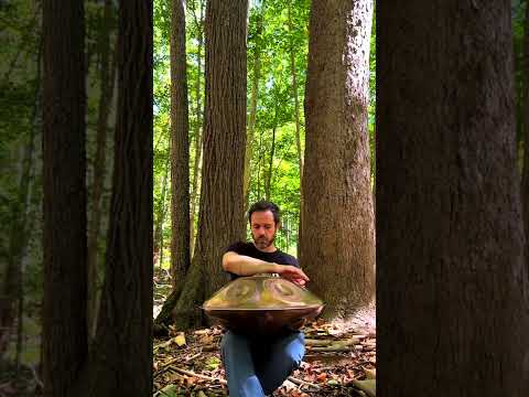 Handpan music in FORESTS OF ITHACA, NY! These trees were absolutely INSANE!