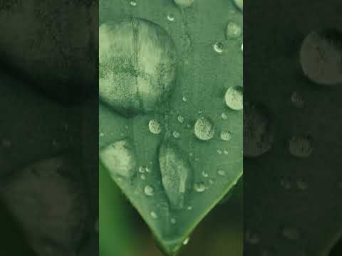 Handpan Droplets Relaxing #handpan #handpanmusic #relaxingmusic #meditationmusic #relaxation