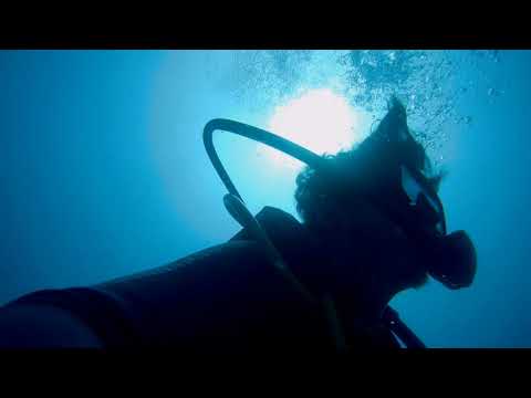 Animal Divers(애니멀다이버스) -  Incense on the beach (Demo)