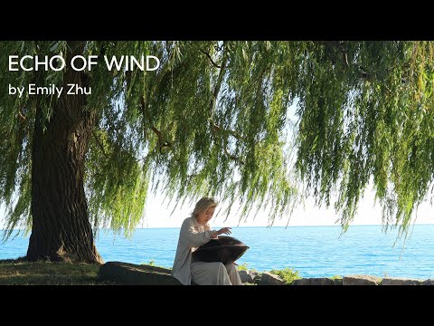 Echo of Wind丨Handpan E amara 20丨Emily Zhu