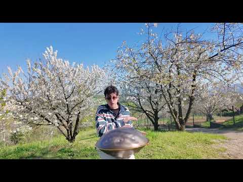 Finding Center | Handpan Music | Barış Nizam