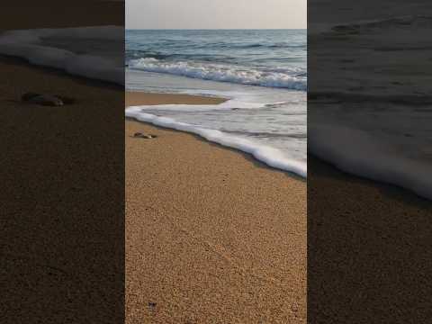Calm Ocean Sounds