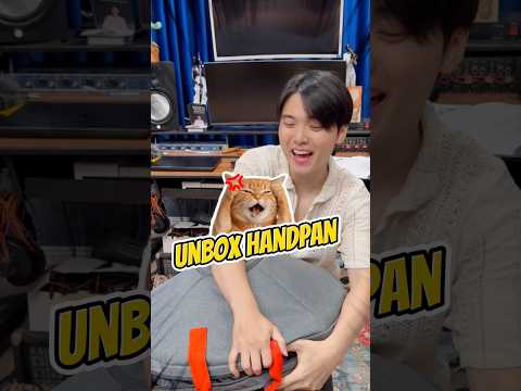 Unboxing Handpan Da Cá Chép Hoá Rồng 😱 #chihung #hangdrum