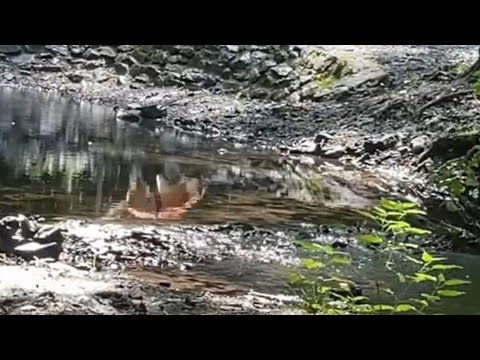 Handpan flow - Upside down (use🎧)
