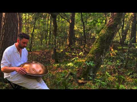 1 Hour Handpan Music to Calm Your Nervous System & Reduce Anxiety | lehmix