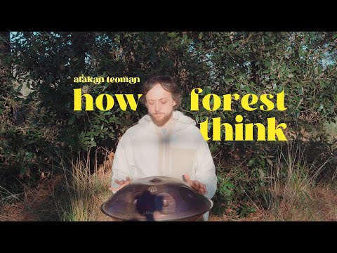 How Forest Think ( 777 Hz ) Handpan Music | Calming Meditation | Atakan Teoman