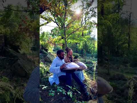 Mesmerizing Handpan Grooves #handpan #soulful