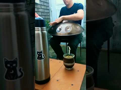 NEW BEAT HANDPAN Sonido handpan D kurd 10