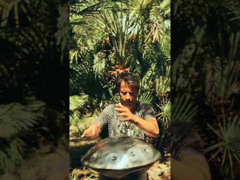 Everything arises in the moment | Alwin Steinle | Handpan La Sirena #handpan #handpanmusic #music