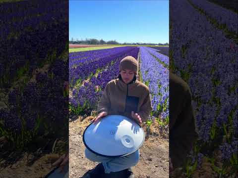 Beautiful Flowers in Holland [handpan music]