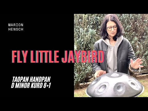 Handpan Healing Music | Taopan Handpan D Minor Kurd 8+1 #handpanmusic #handpanworld #handpan