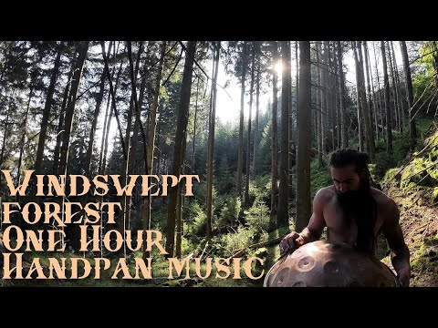 Windswept Enchanted Forest | 1 Hour of Handpan Meditation