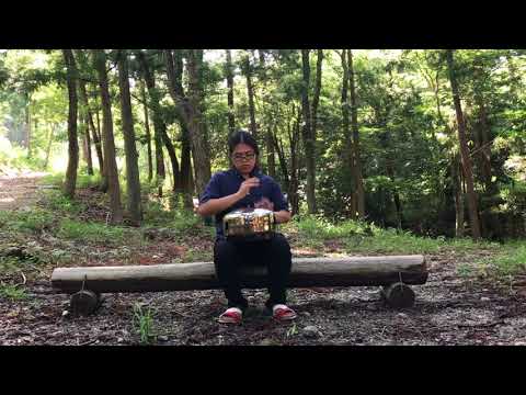 432Hz tuning Gank wing Solo!