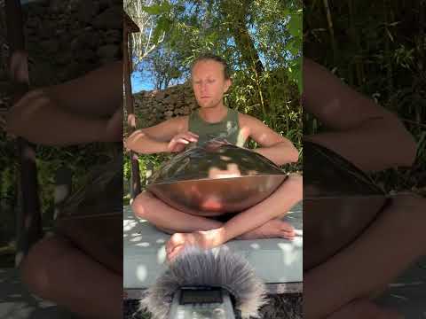 Pranarta - Handpan - Impro on F Integral by Yishama