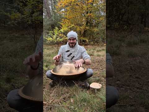 Meditative Handpan Music in the woods | Melodic Pattern on Hijaz Handpan