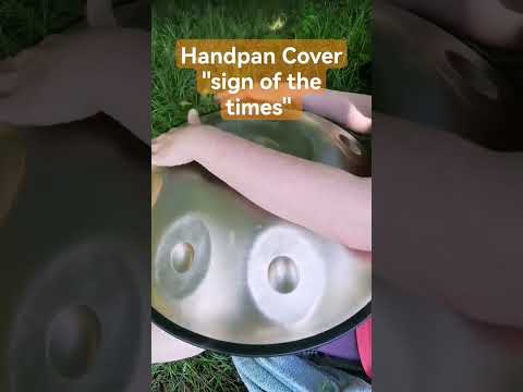 Handpan cover auf der Meinl Sonic Energy D Kurd| sign of the times | Harry Styles