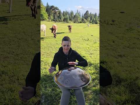 Kuh-Konzert mit Handpan in Farchant Teil 1