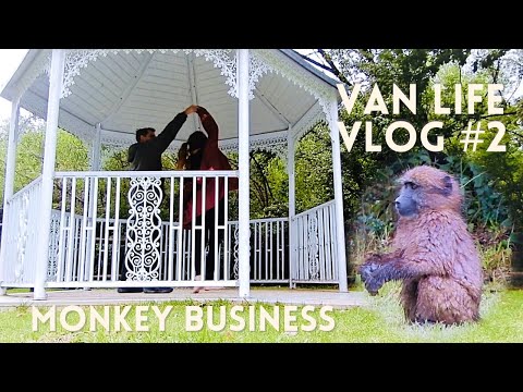 Van Life South Africa | Monkey Business | Ep. 2