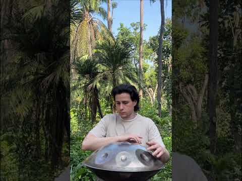 Handpan C Ashakiran - Chiayi botanical garden - Taiwan
