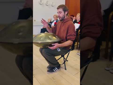 Handpan D minor 17 notes | Ember steel | Shaktipan @Shaktipan-Handpan