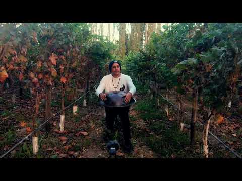 Autumn Leaves | Handpan Music | soundbath