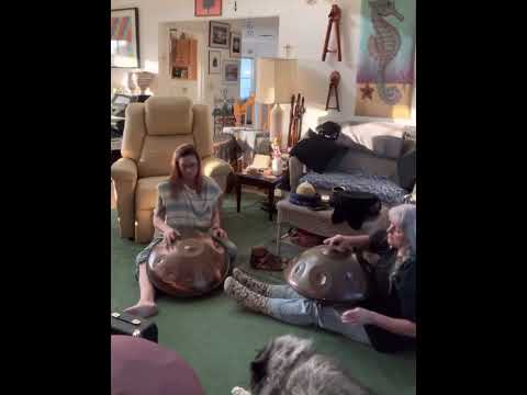 🛸 🎶  Women of Steel 🎶🛸 Playing  an Em Celtic @tactahandpans and an Am @gios.instruments 🎶🛸