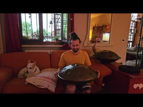 Rain Song | Handpan Music with a Dog