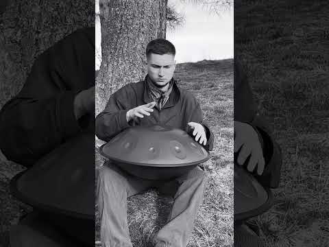 Forest chilling like this ? #hangmassive #handpan #beats